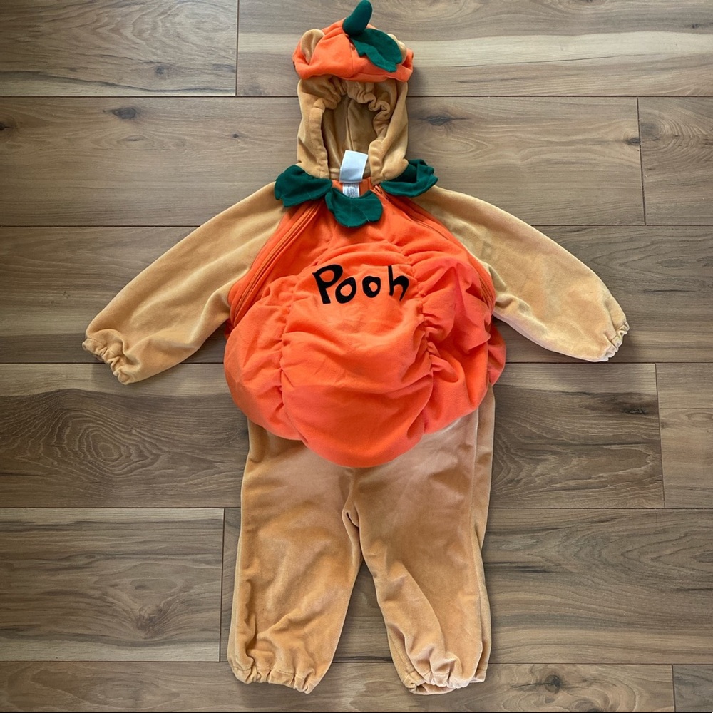 Winnie the Pooh pumpkin costume